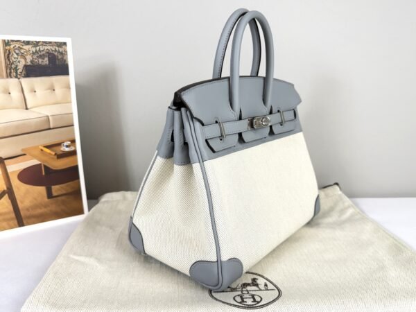 Hermès Gris Pantin Birkin 25 Canvas with Palladium Hardware