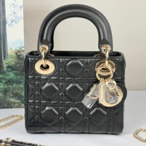 Mini Lady Dior Bag with Chain
